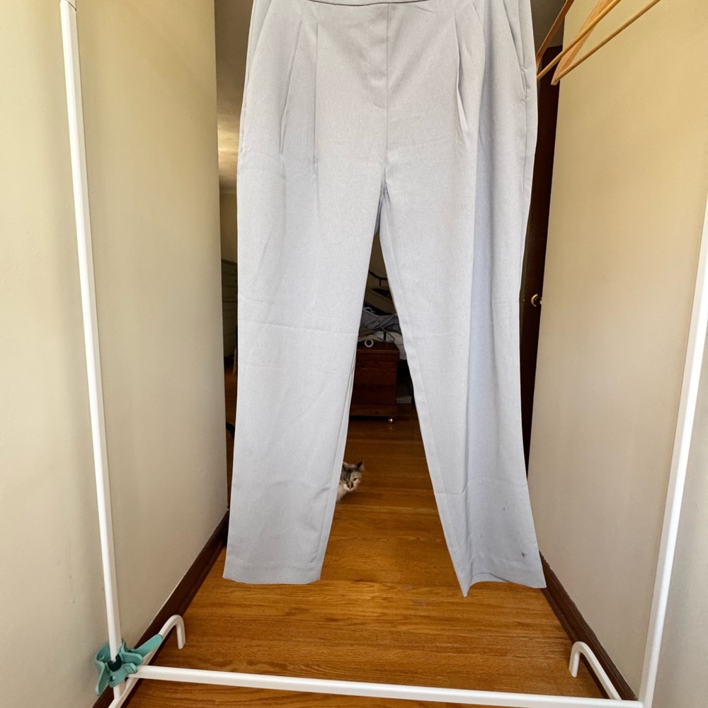 Elegant Light Gray Women's Pants